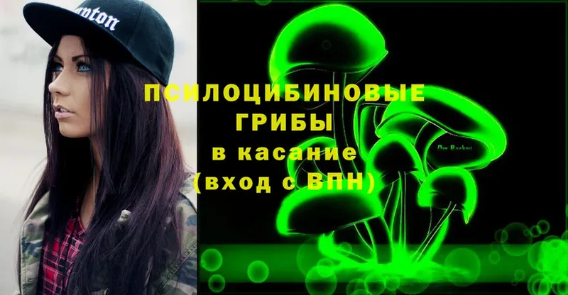 купить наркотик  Дмитриев  Псилоцибиновые грибы Cubensis 